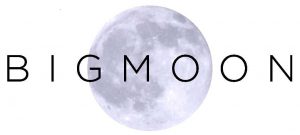 Bigmoon Logo